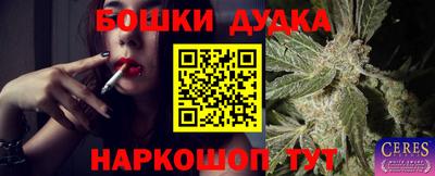прущие грибы Краснокаменск