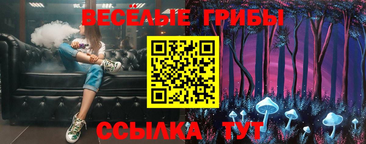 Галлюциногенные грибы Psilocybe Тольятти