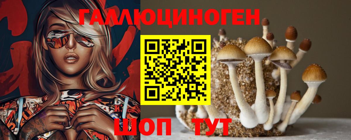 Тольятти  Псилоцибиновые грибы MAGIC MUSHROOMS  Вход с VPN 